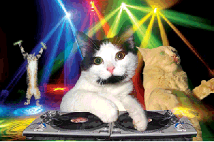 music vibe
