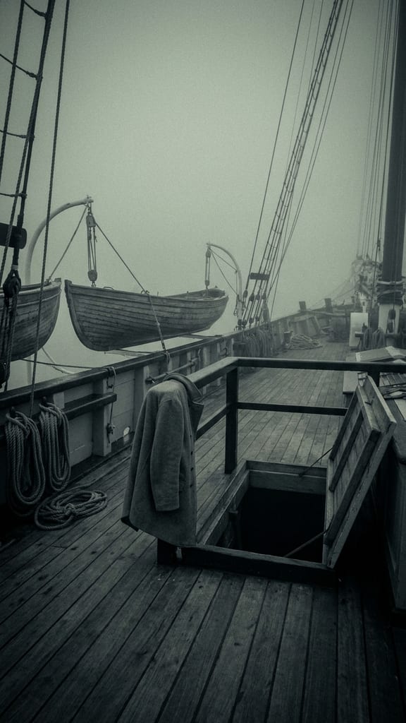 Every lifeboat still hung in its davits